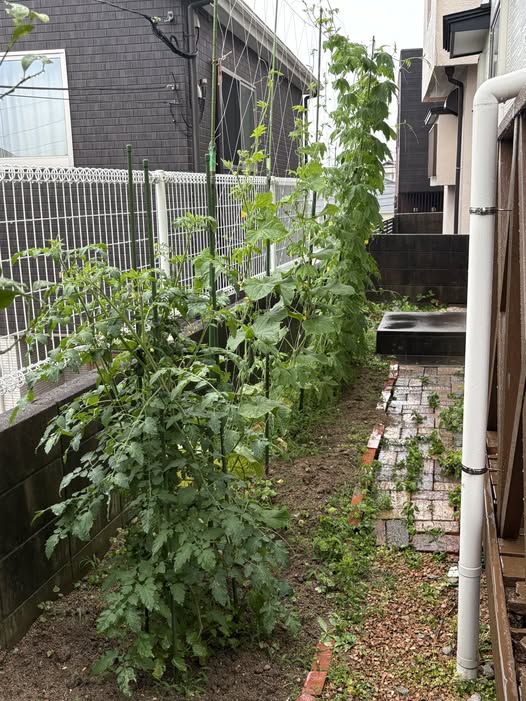 【復帰してみてわかったこと】無理をしないことも、前に進む力 Vol.8